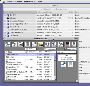 DT3.webp