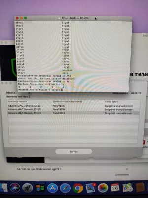 15852504087465809293446643981822.webp