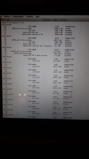 part 1 diskutil list.webp