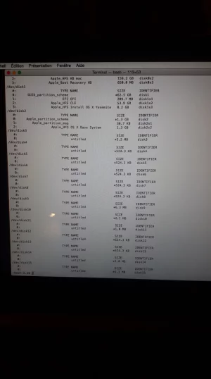 part 2 diskutil list.webp
