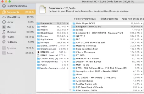 Capture d’écran, le 2020-04-03 à 18.39.55.webp