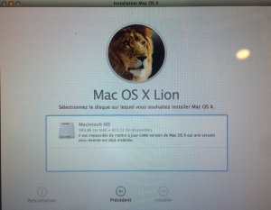 Installation Lion.JPG