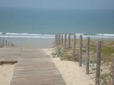 2 Cap Ferret 2.webp