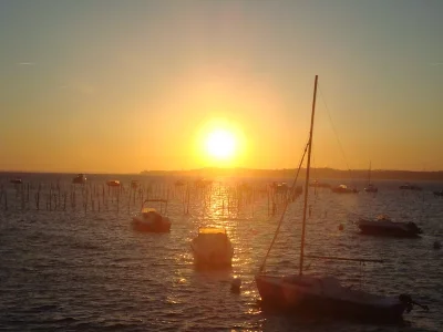 2 Cap Ferret 5.webp