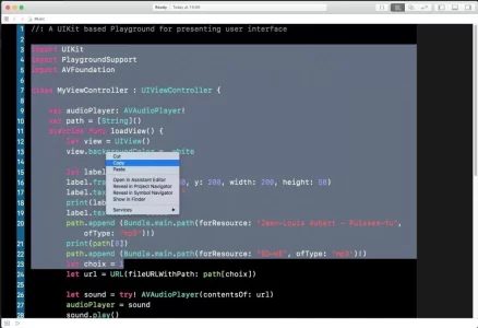 Xcode.webp