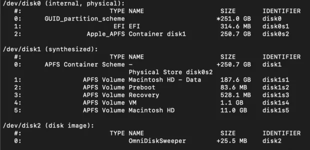 diskutil list.webp