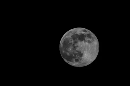 2020-04-07 23.27.22.webp