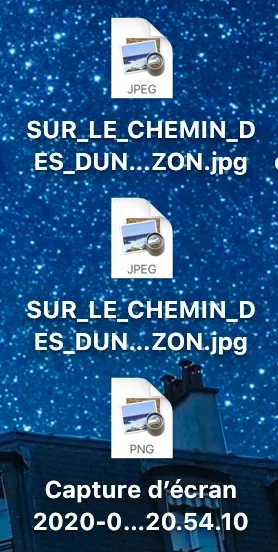 Capture d’écran 2020-04-09 à 21.00.46.webp