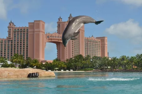 AtlantisPhoto_49.webp