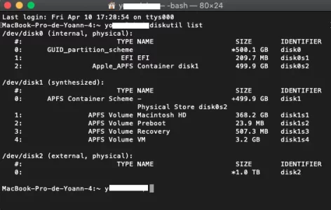 terminal disk list.png