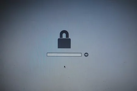 1586607928002.webp
