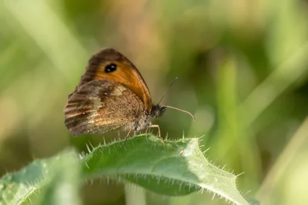 2016-07-24 18.48.56.webp