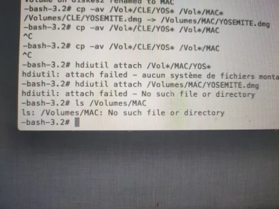 15869668904573824554988846441193.webp