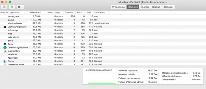 ddr.webp