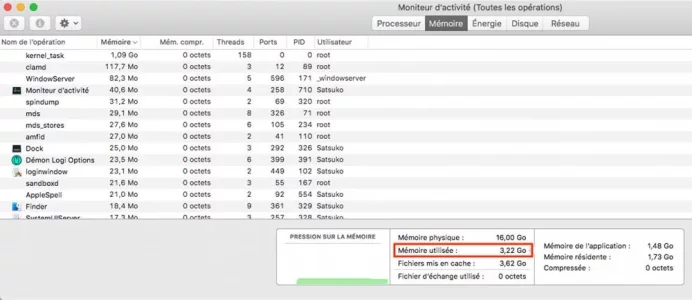 ddr.webp