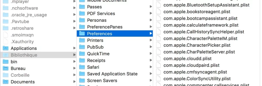 Preferences.webp