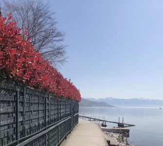 promenade.webp