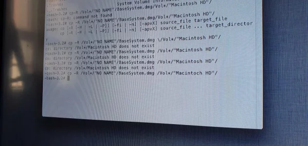 1587212077922347401815506850031.webp