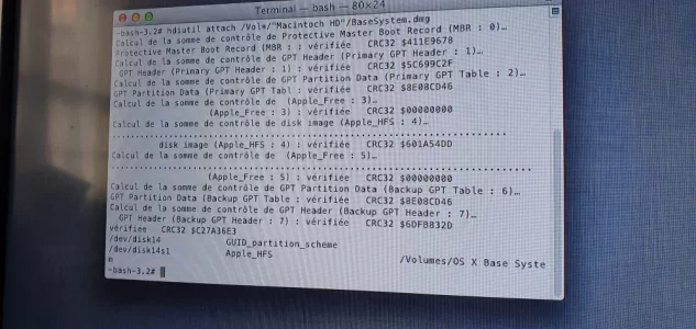 15872127555328970228296255445816.webp