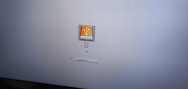 15873161724968649395624170485667.webp