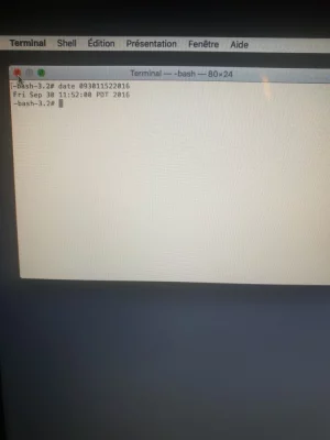 15873769290805837636816962364764.webp
