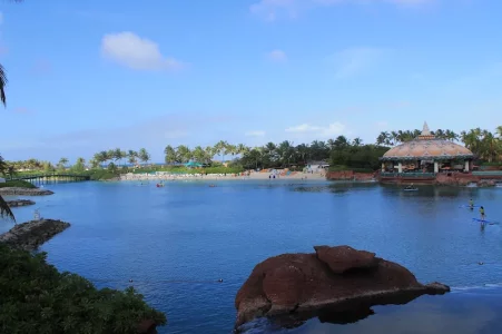 4 Bahamas 40.webp