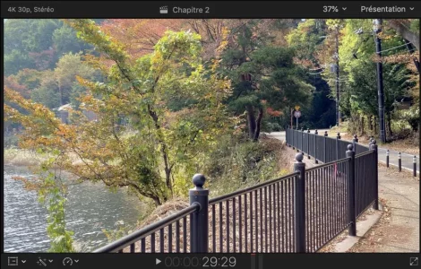 3.webp