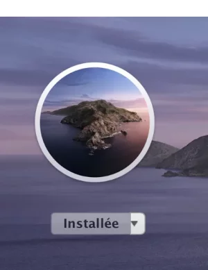 Capture d’écran 2020-04-22 à 18.17.29.png