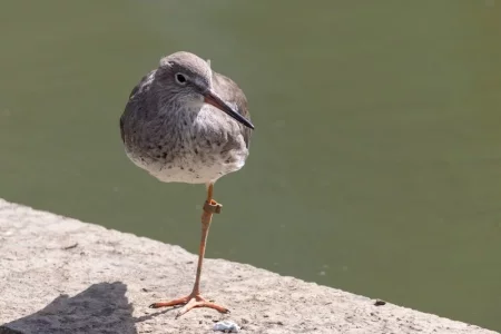 2016-08-09 11.35.58.webp