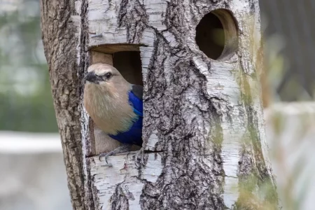 2016-08-09 11.57.05.webp