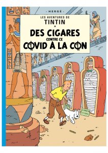 tintin_02.jpg