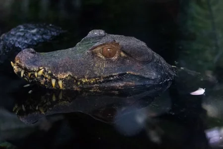 2016-08-09 15.22.26.webp