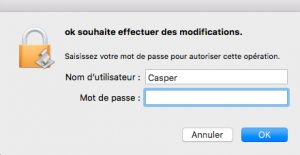 Capture d’écran 2020-04-28 à 07.21.17.png