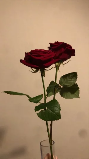 921670AF-A179-446A-83DD-9C497D0B9E90.webp 921670AF-A179-446A-83DD-9C497D0B9E90.webp