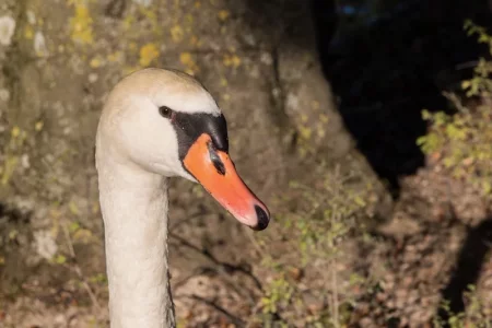 2016-10-16 16.34.17.webp