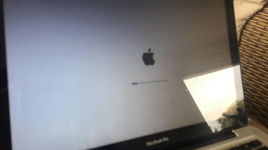 95636464_232363068027258_1232986884779540480_n.webp
