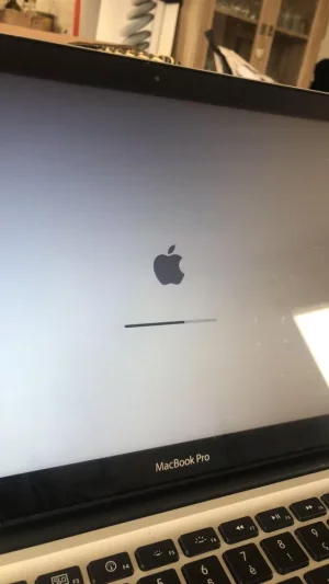 95573259_555788058667422_2964071795574964224_n.jpg
