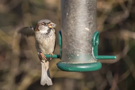 2016-12-28 12.52.46.webp