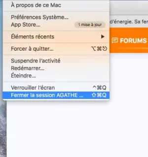 Capture d’écran 2020-05-04 à 17.15.52.webp