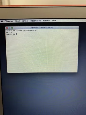 image.webp image.webp