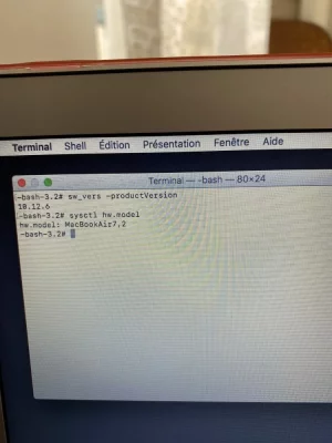 image.webp image.webp