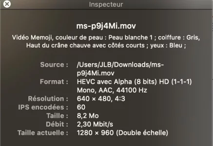 Capture d’écran 2020-05-05 à 17.04.29.webp