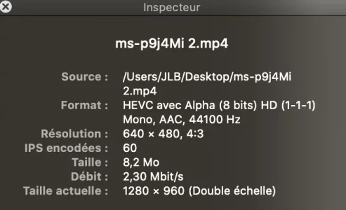 Capture d’écran 2020-05-05 à 17.21.58.webp