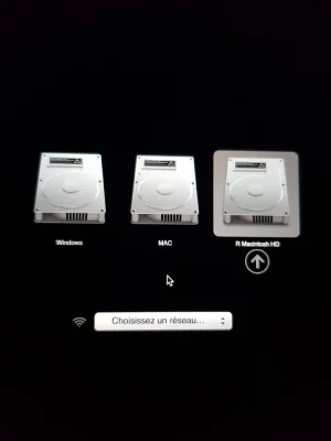 DD.webp