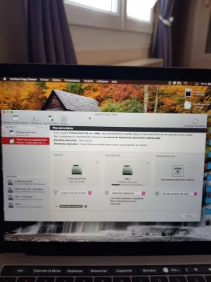 OOO.webp OOO.webp
