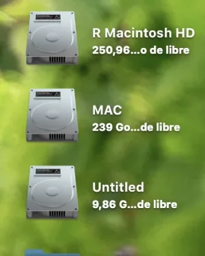 Capture d’écran 2020-05-06 à 15.52.03.webp