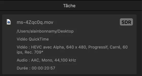 Inspecteur Compressor.webp