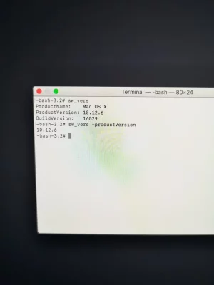15889733384963312954192719632714.webp