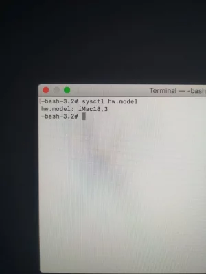 15889739476418749030348140615011.webp