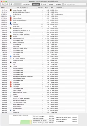 Moniteur Activite Memoire.webp Moniteur Activite Memoire.webp